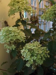 点击看大图 -HeyJewel全球独立设计师原创首饰集合店