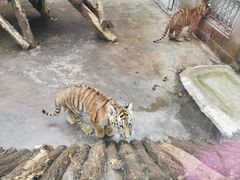-西安秦岭野生动物园