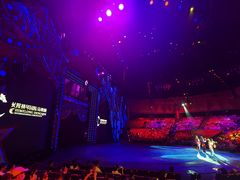 -珠海横琴长隆《卡卡虎奇遇记》