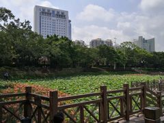 -南宁南湖公园