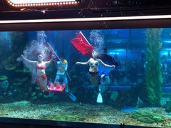 -顺德南宏海立方海洋公园