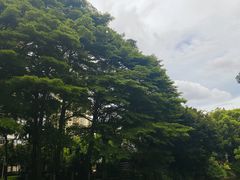 -晓港公园