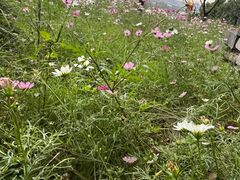 -宁波市保国寺古建筑博物馆