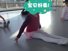 -中央芭蕾舞团·中芭艺蕾(酒仙桥明星校区)
