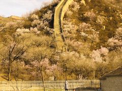 -黄土店站