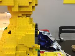 -韦哲乐高机器人·等级考试·少儿编程(羽山路校区)