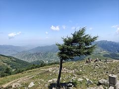 -灵山