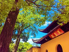 -西园戒幢律寺