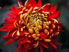 -共青国家森林公园-售票处