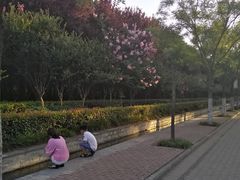 -洛阳市隋唐城遗址植物园