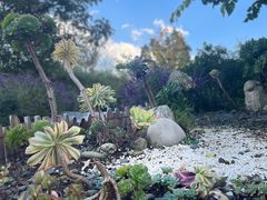 -崇圣寺三塔文化旅游区