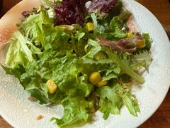 -森味薪火烧•烧鸟居酒屋•日本料理(望京店)