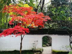 -秋霞圃