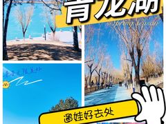 -青龙湖公园