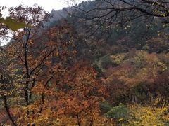 -北京上方山国家森林公园