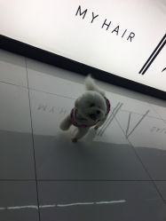 点击看大图 -MY HAIR ARDOR