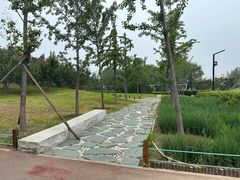 -马家湾湿地公园