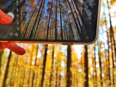 -山王坪喀斯特国家生态公园