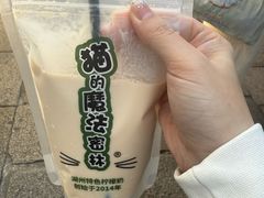 -猫的魔法密林(衣裳街店)