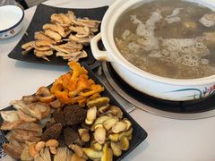 -蘑统田下·野生菌火锅