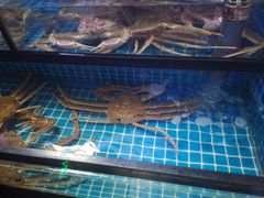 -吉友粥底火锅(方斜路店)