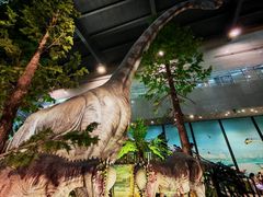 -湖南省地质博物馆