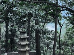 -黔灵山公园