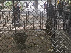 -长白岛森林公园