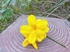 -仙海旅游度假区