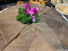 -七里川健康火锅(总店)