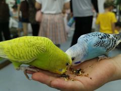 -荆州中山公园动物园