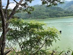 -羚羊峡古栈道森林公园