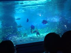 -常州海昌海洋探索馆
