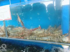 -蚝专家(北滘店)