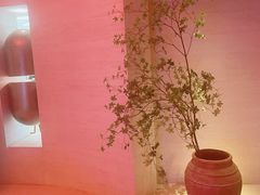 -舒小悦·舒养SPA·古法推拿(光环中心店)