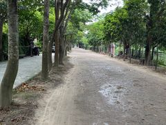 -丹樱生态园