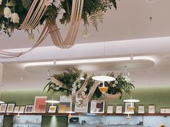 -Aqua Oasis 水天堂(太湖中心mall店)