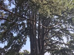 -终南山南五台景区