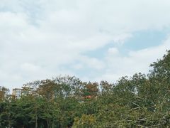 -塔子山公园