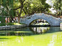 -北陵公园