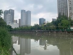 -成都市活水公园