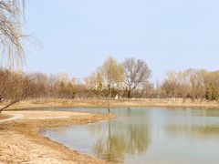 -永定河休闲森林公园