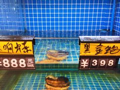 水产区-金龙·打边炉(南京西路店)