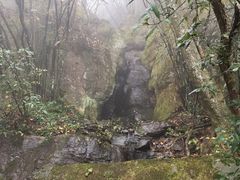 -庐山风景区花径公园