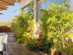 -湖畔居茶楼(湖滨店)