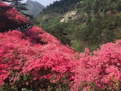 -木兰云雾山