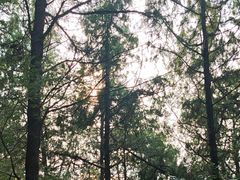 -云龙山