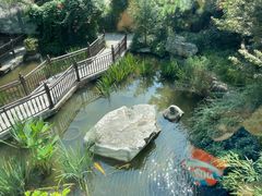 -聚缘堂·海鲜私房菜(松岭路店)