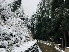 -九峰山