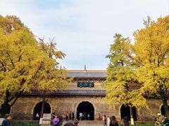 -灵谷景区